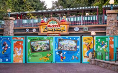 Tips For Optimizing Your Disneyland Resort Experience